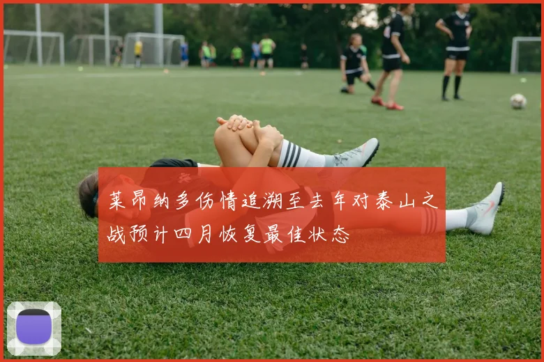 莱昂纳多伤情追溯至去年对泰山之战预计四月恢复最佳状态