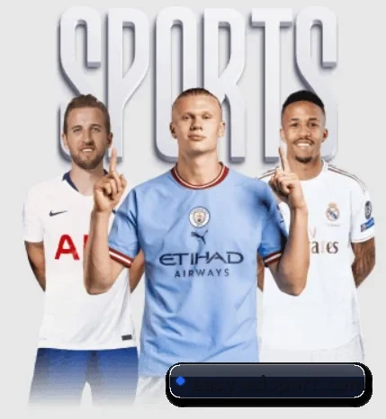 每个板块围绕一个运动项目展开 | Sports